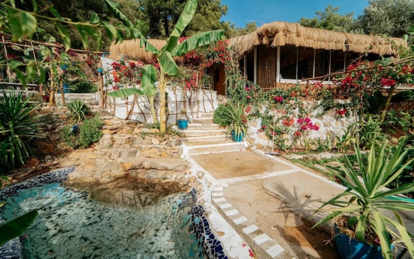 Begonvilla Bungalows