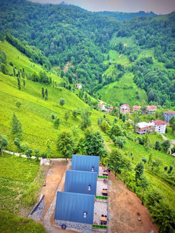 Dogallife Suit Bungalov