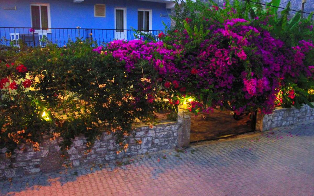 Söğüt Rüya Pansiyon