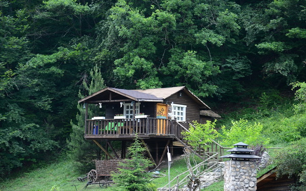 Abant Yesil Ev Masal Evleri